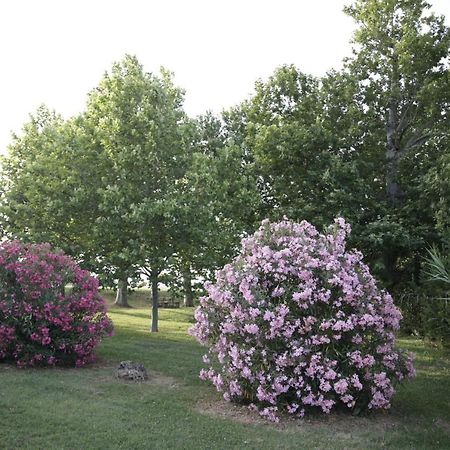 Agriturismo La Fonte Di San Girio ξενώνας Potenza Picena Εξωτερικό φωτογραφία