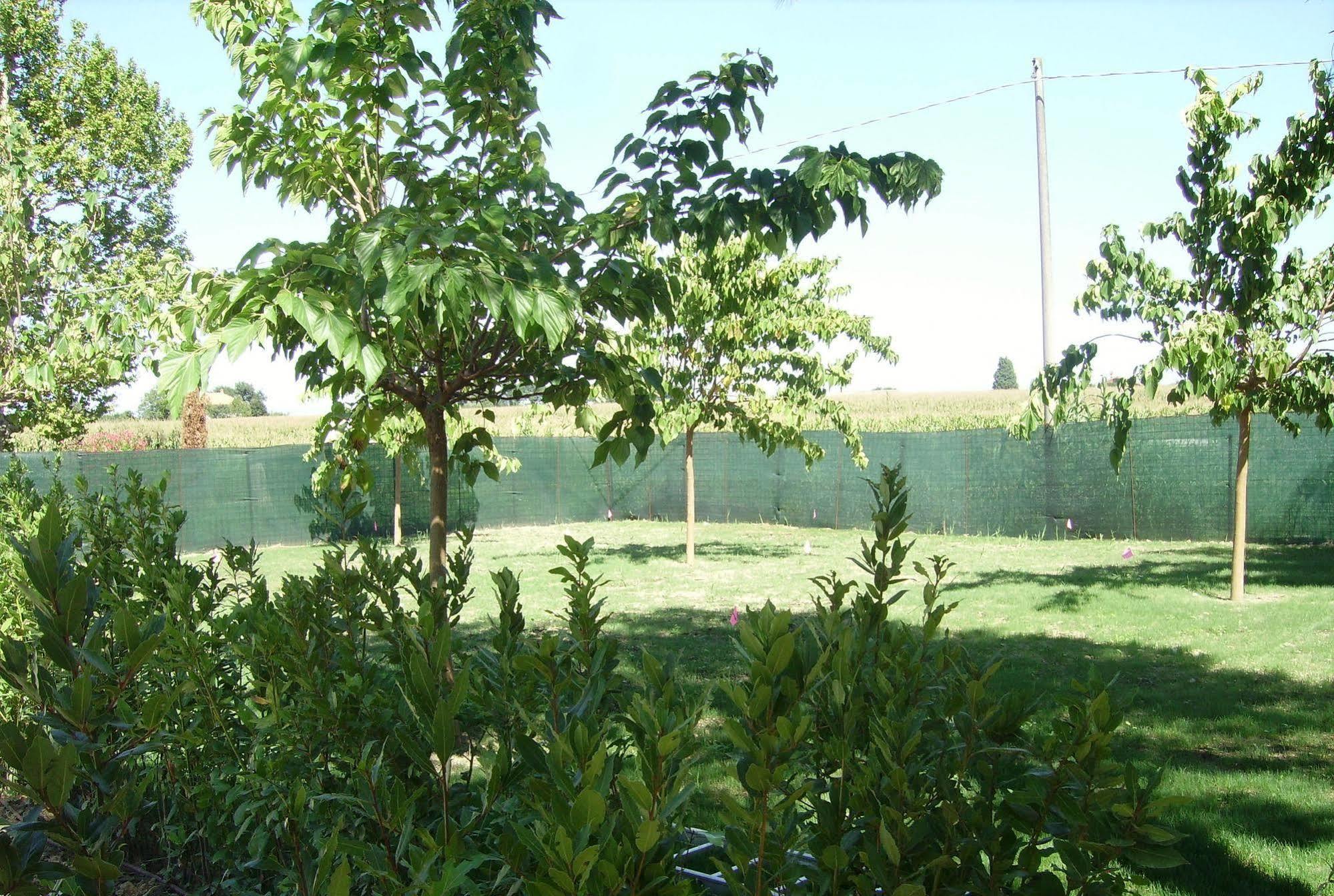 Agriturismo La Fonte Di San Girio ξενώνας Potenza Picena Εξωτερικό φωτογραφία